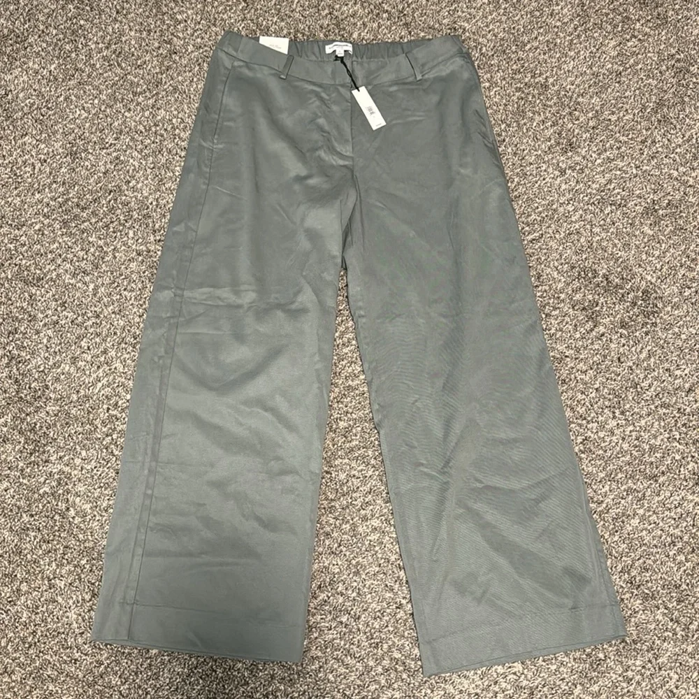 NWT! Banana Republic Gray Succulent
The Everyday Wide Leg Pant - Size Large - Picture 6 of 8